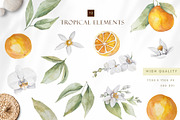 Watercolor citrus orange clipart, an Illustration by MariGraphic boutique (Thumbnail 2 of 10)