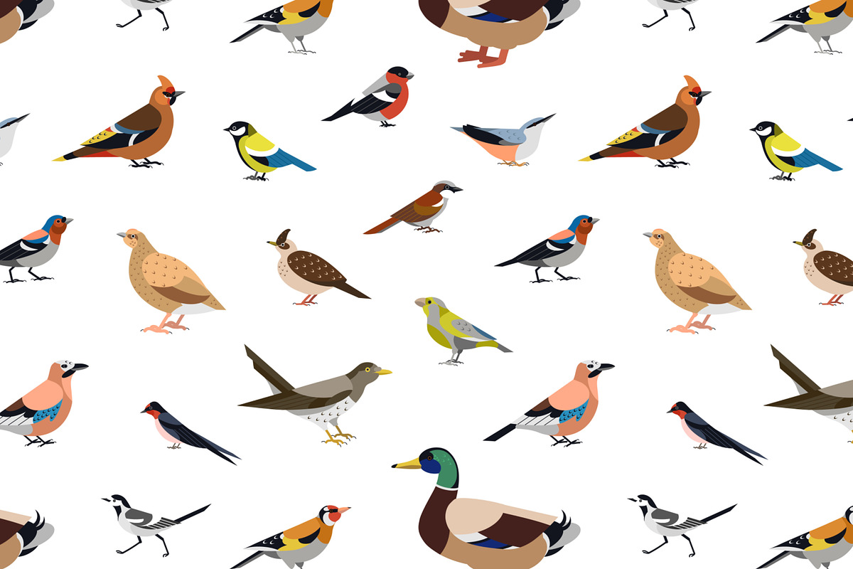 Birds seamless patterns set, a Pattern Graphic by Good Studio