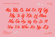 Tabica - A Tropical Handwriting Type, a Handwritten Font by delipensil (Thumbnail 6 of 8)