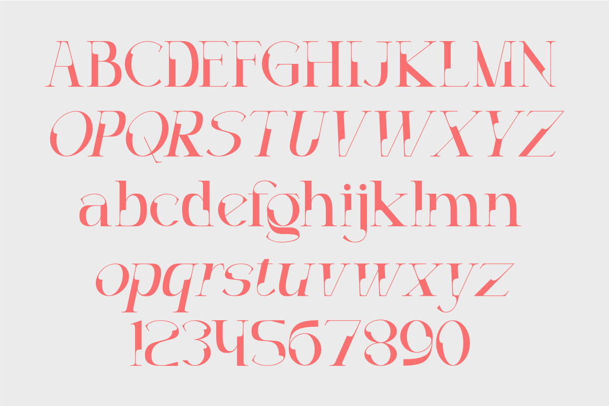 Decoslice, a Serif Font by Muksal Creative (Photo 9 of 10)