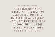 Arunica - Classy Serif Font, a Serif Font by Aqeel_Art (Thumbnail 10 of 10)