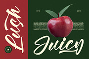 Vaughn Daniel Bold Handwritten Font, a Script Font by stylishtype.co (Thumbnail 5 of 19)