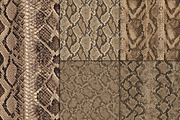 Realistic Snake Skin Patterns, a Pattern Graphic by Artonix (Thumbnail 3 of 4)