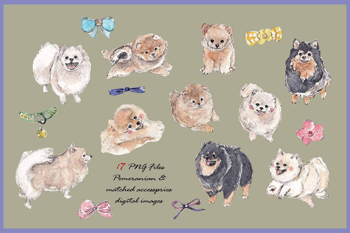 Pomeranian Clipart Digital Paper, an Animal Illustration by VianneArt (Photo 3 of 7)