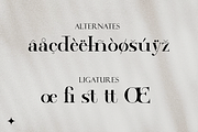 Modern Elegant Font, a Symbol Font by Graphue (Thumbnail 4 of 12)