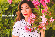 Adobe Lightroom Presets Summer, a Preset Add-On by SabTin Designs (Thumbnail 2 of 4)