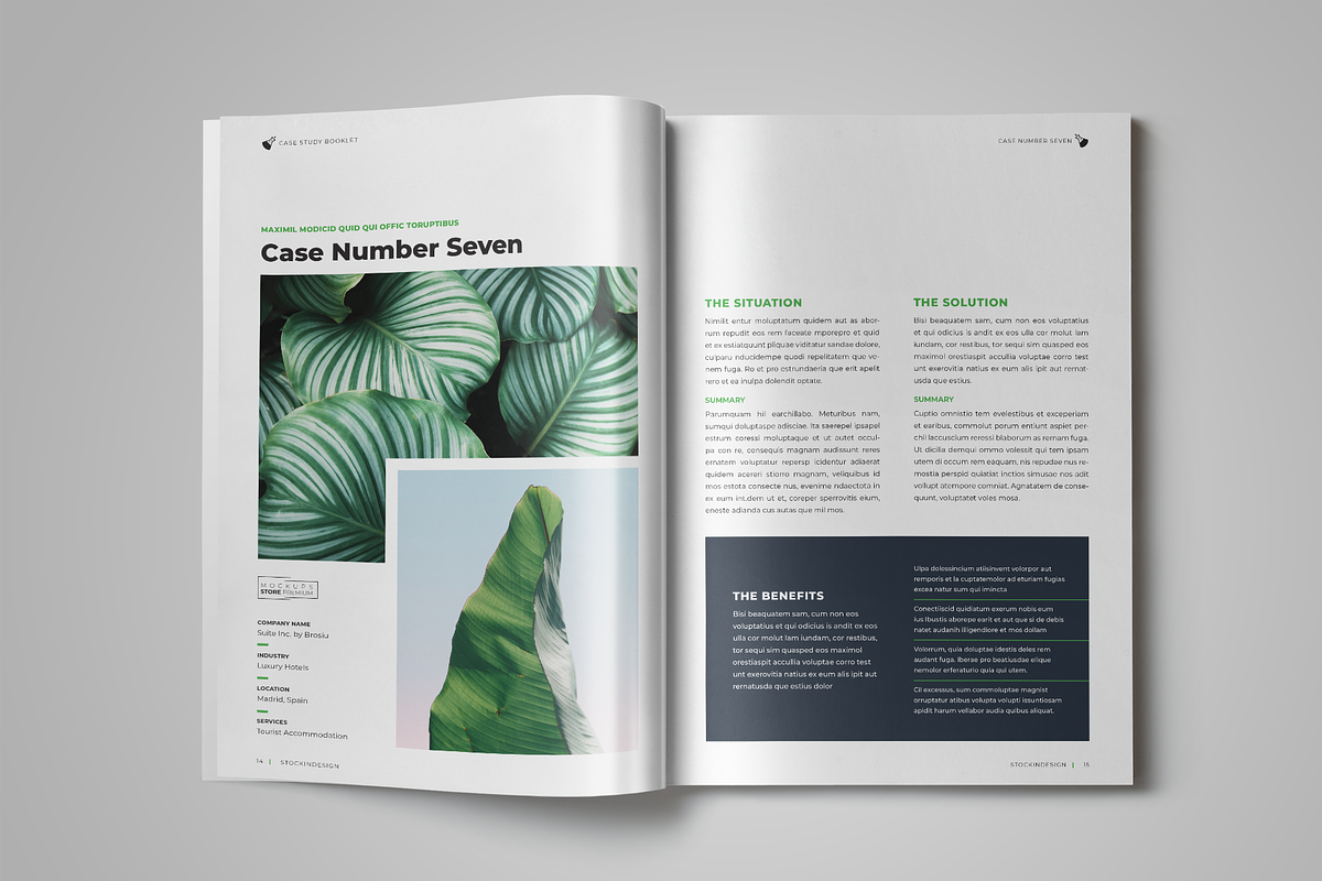 Case Study Booklet, a Templates & Theme by StockInDesign (Photo 8 of 10)