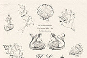 The Sea Empire: Vintage Marine Art, an Object Graphic by Purple (Thumbnail 7 of 19)