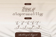 Rellydon Beautiful Calligraphy Font, a Script Font by Denustudios (Thumbnail 12 of 13)
