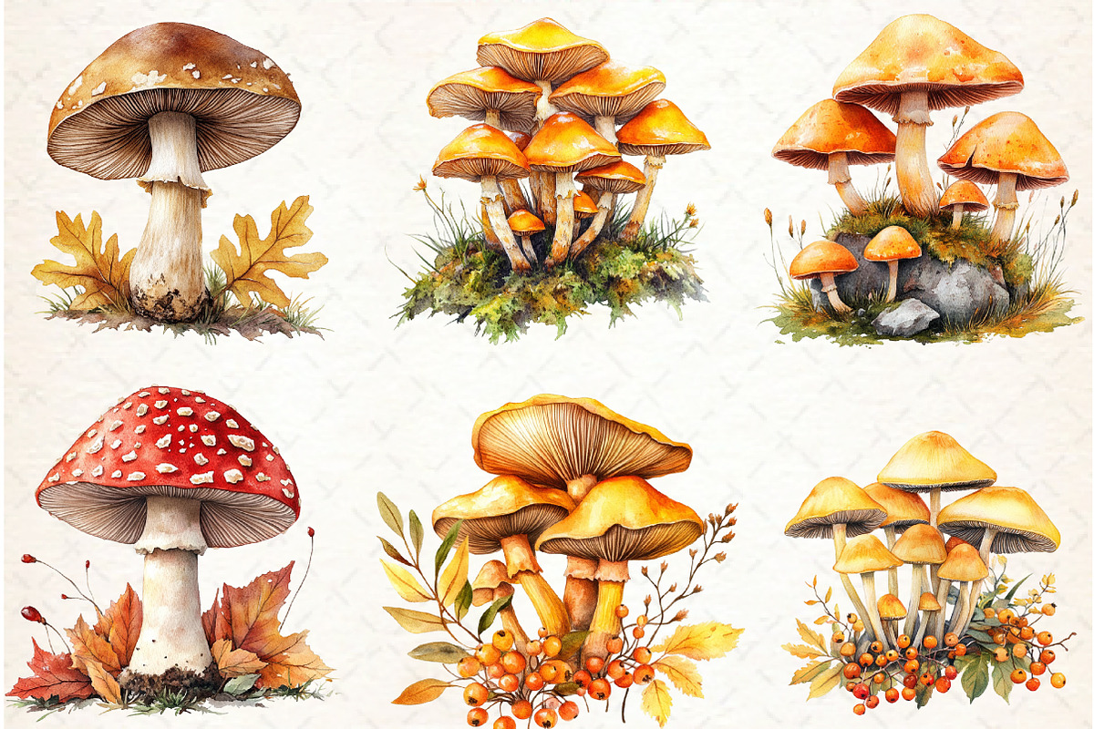 Autumn Mushroom Clipart, an Illustration by Libby Wishes (Photo 6 of 7)