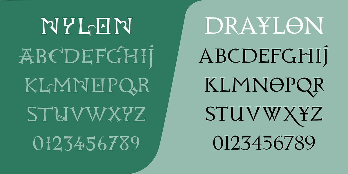 Nylon & Draylon, a Serif Font by Barnbrook Fonts (Photo 6 of 6)