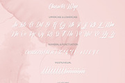Collaborn - Modern Brush Fonts, a Script Font by SemutHitam Creative (Thumbnail 6 of 7)