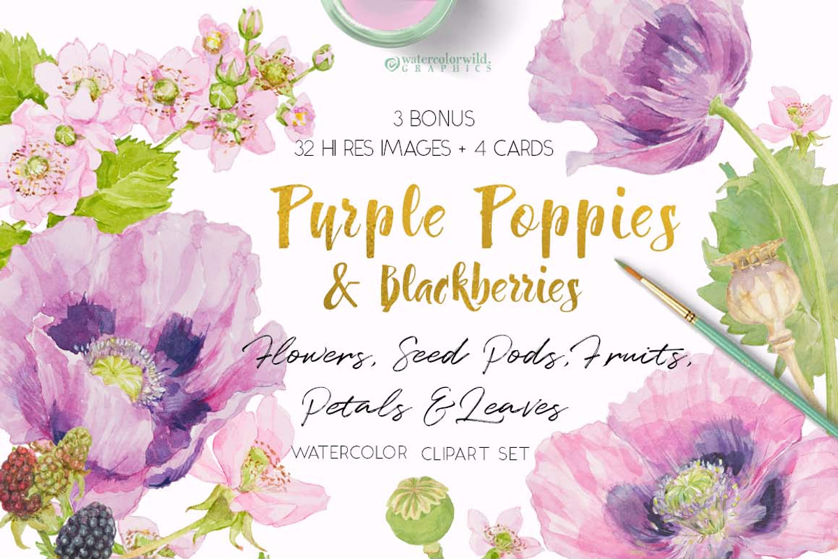 Purple Poppies&Blackberries-Clipart, an Illustration by watercolorwild.graphics (Photo 1 of 10)