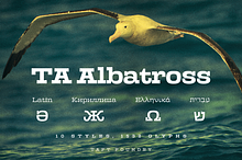 TA Albatross