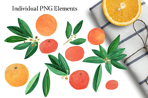 Fresh Citrus Watercolor Design Kit