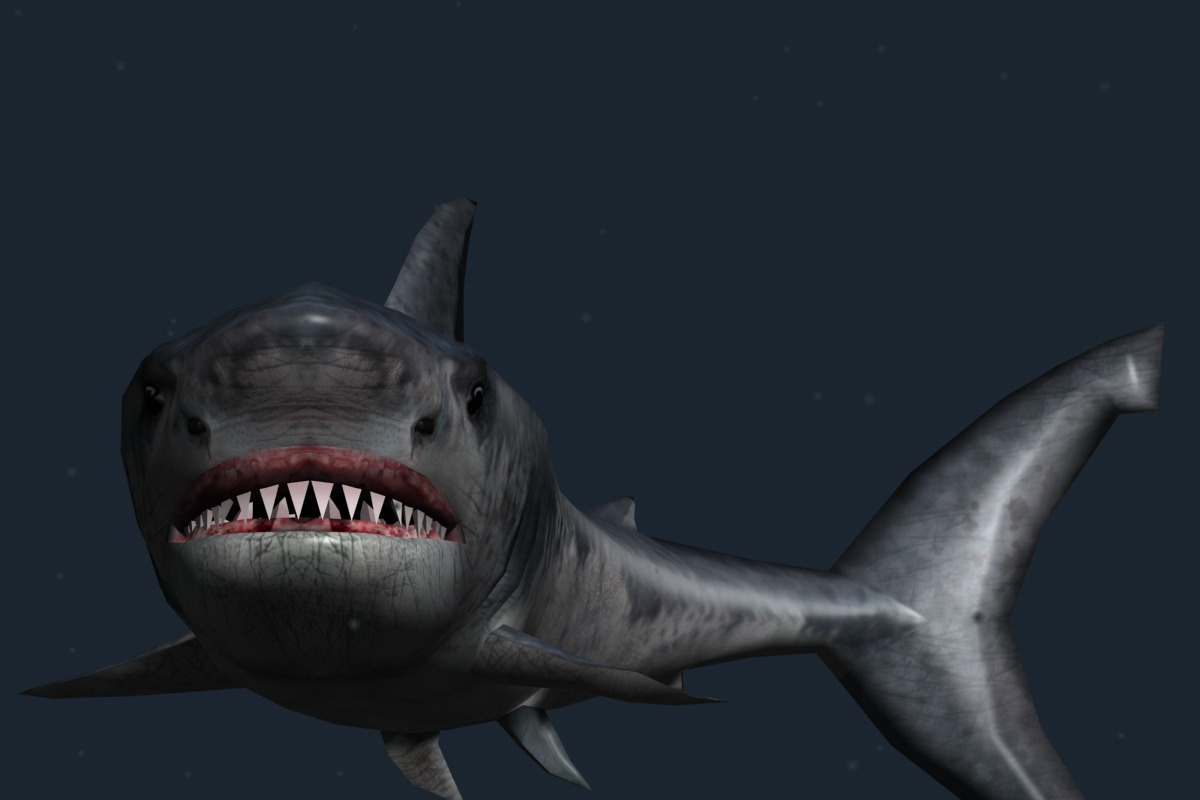 3DRT - Sealife - Shark, an Animal 3D Model by 3DRT.com (Photo 1 of 3)