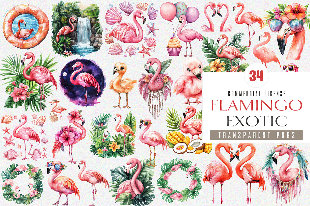 Watercolor Flamingo Clipart, Exotic, an Illustration by SinaCreation (Photo 1 of 4)