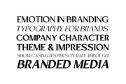 Mizhon Flare | 12 Fonts, a Serif Font by Skinny Type (Thumbnail 5 of 8)