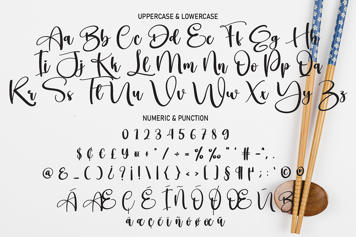 Japanese | Script Font, a Script Font by Scratchones (Photo 3 of 8)