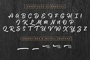 Magneton Light Slanted, a Script Font by Mika Melvas (Thumbnail 12 of 13)