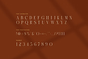 Sugari Luxury Swash Serif Font, a Serif Font by Perfectype (Thumbnail 7 of 8)