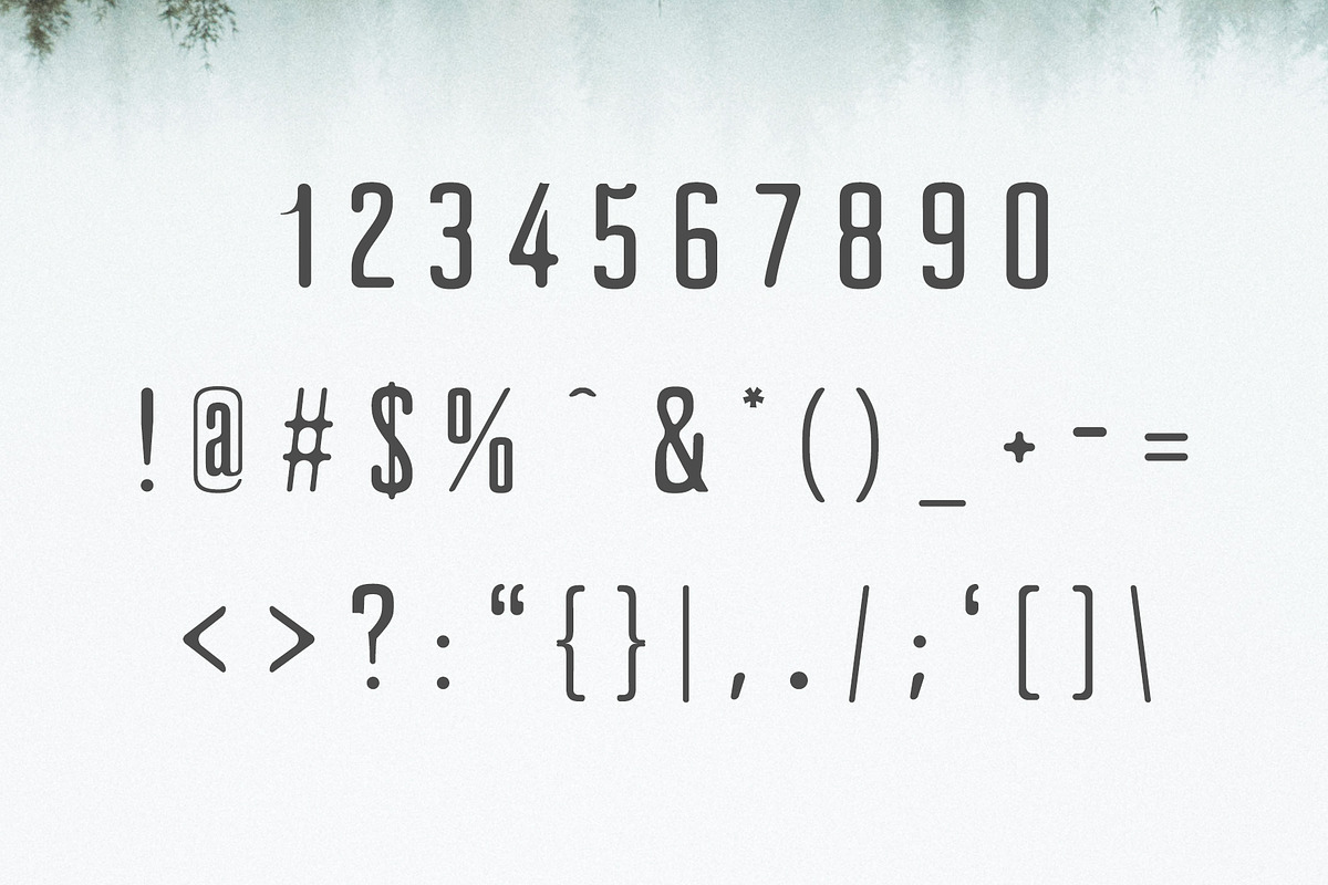 Clarra Sans Serif Font Family preview 3