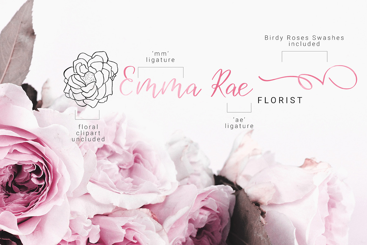 Birdy Roses | Script font + Swashes preview 4