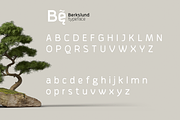 Berkslund Typeface, a Font by Newface (Thumbnail 3 of 5)