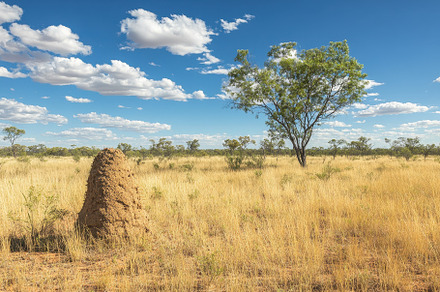 Dry desert landscape in Northern Ter, a Photo by Iftikhar Alam