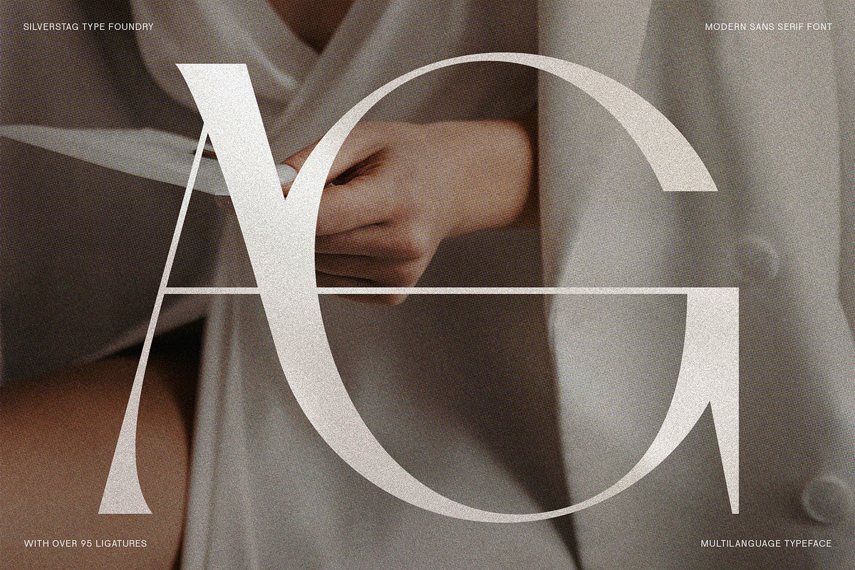 SLTF Night Windfall - Ligature Sans, a Sans Serif Font by SilverStag Type Foundry (Photo 3 of 30)