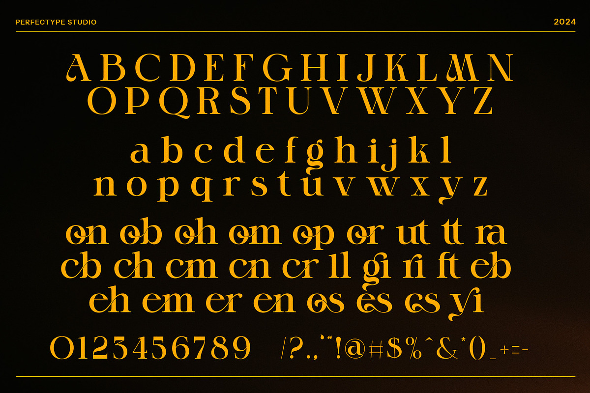 Monigk Ones Elegant Serif Font, a Serif Font by Perfectype (Photo 8 of 8)