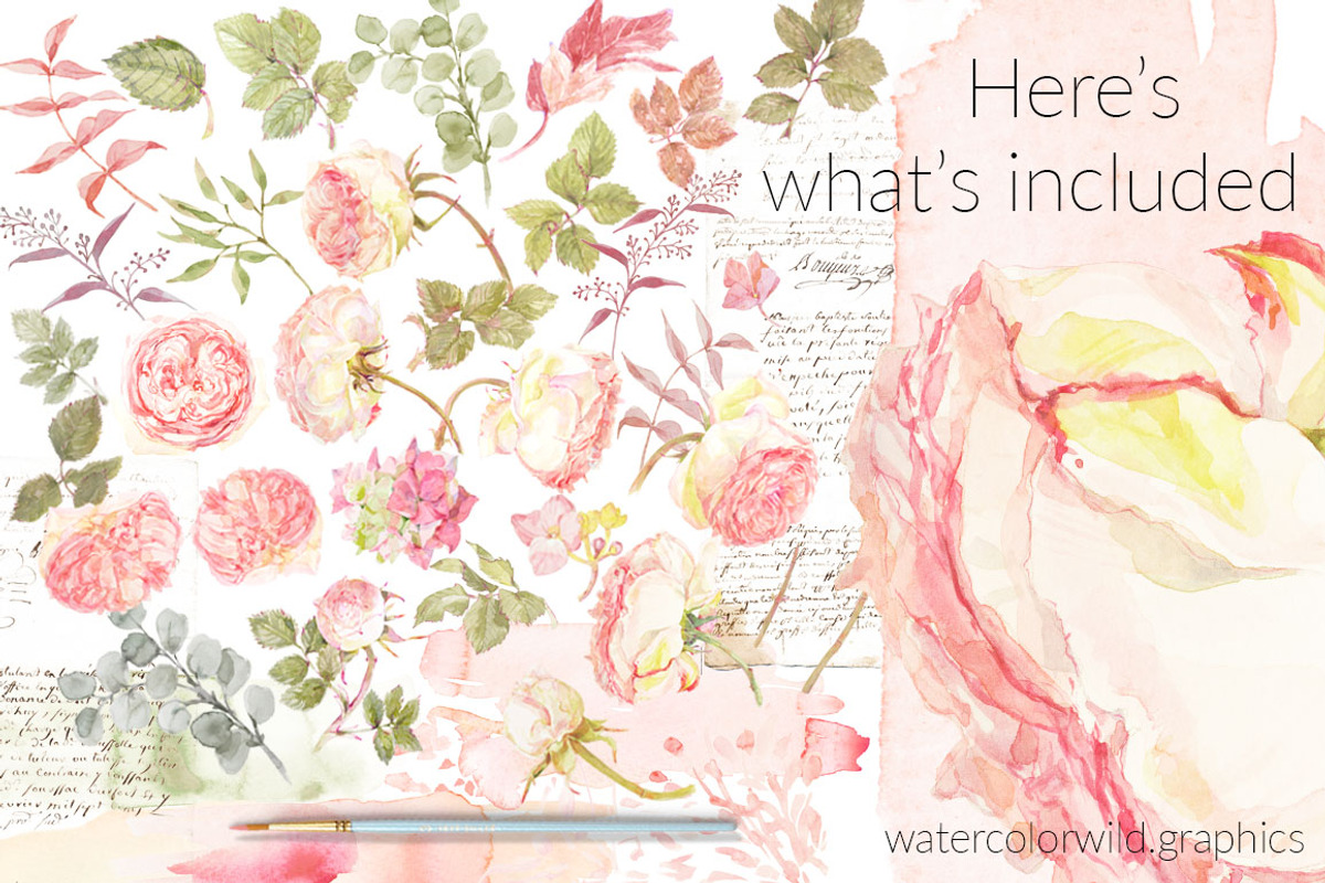 Roses watercolor clipart, an Illustration by watercolorwild.graphics (Photo 5 of 8)