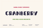 Cranberry Playful Handmade Typeface, a Script Font by alpercakici (Thumbnail 1 of 14)