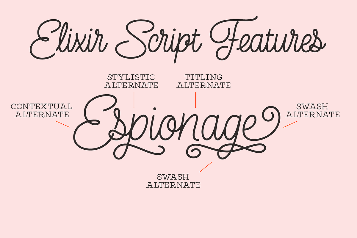 Elixir 11 Fonts Bundle, a Sans Serif Font by Fenotype (Photo 11 of 11)