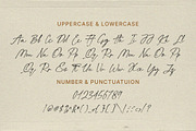 Befallite - Handwritten Script, a Script Font by Bale Type (Thumbnail 9 of 10)