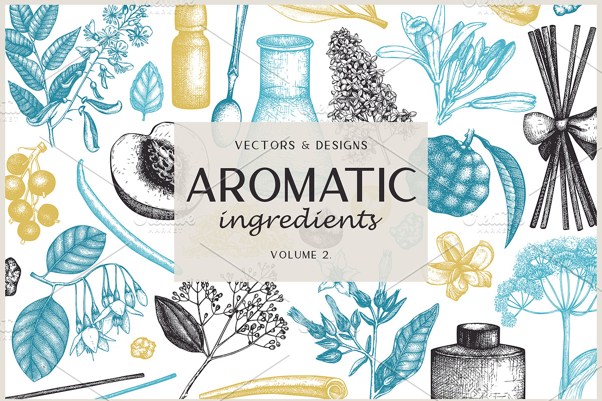 Aromatic Plants & Flowers Sketches, a Healthcare Illustration by Yevheniia (Photo 1 of 9)