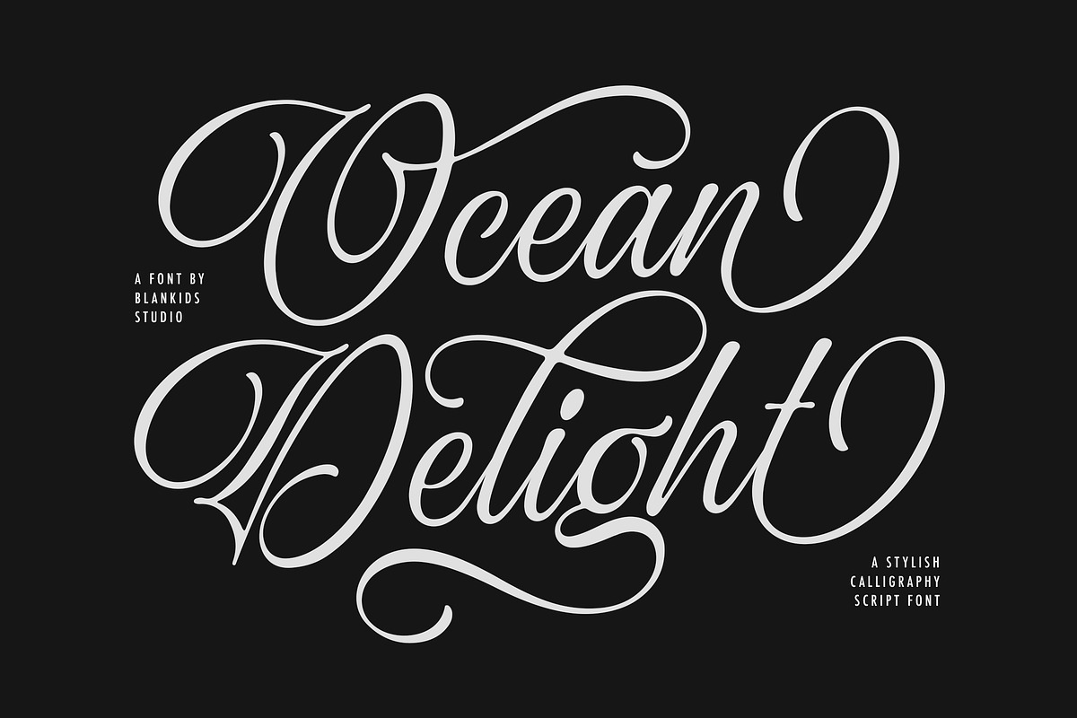 Ocean Delight a Stylish Script Font, a Script Font by Blankids Studio (Photo 13 of 13)