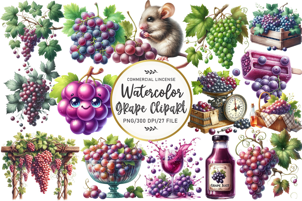 Watercolor Grape Clipart, an Illustration by OK Design (Photo 1 of 5)