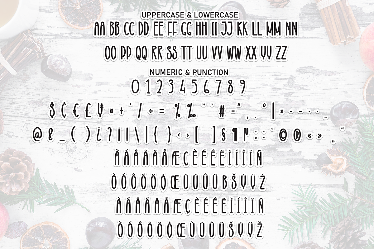 Winter Rustic | Script Font, a Script Font by Scratchones (Photo 7 of 8)