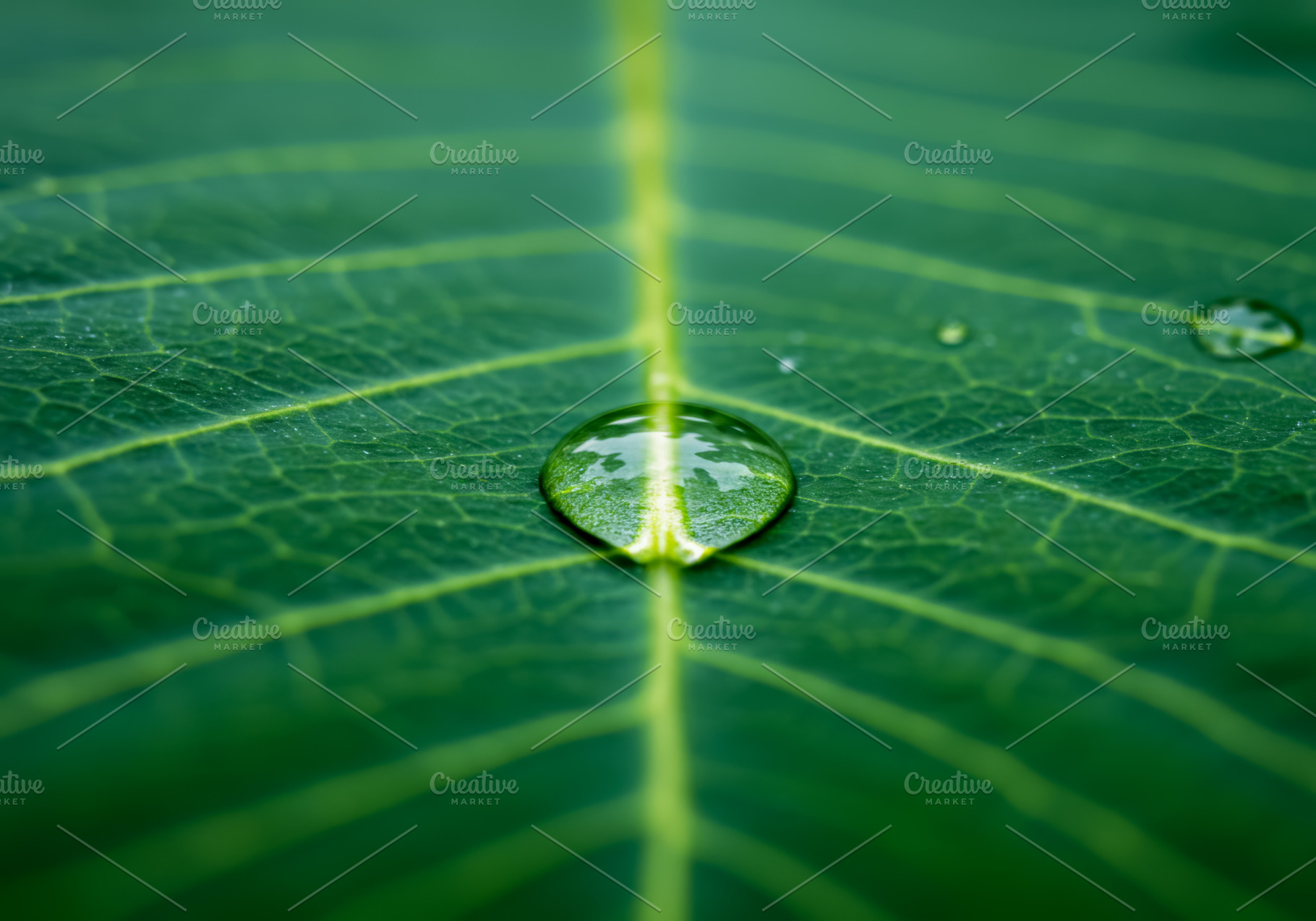 Close-up of a single water droplet r, a Nature Photo by professorinc