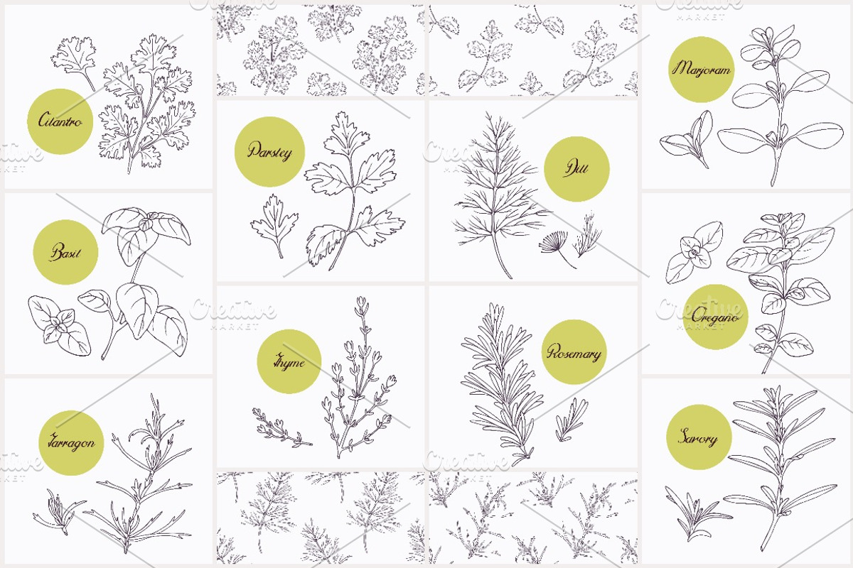 Herbs & Spices Big Bundle, a Food Illustration by Zhemchuzhina (Photo 6 of 9)
