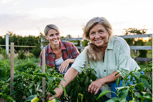 Mother and daughter harvesting fresh, a Nature Photo by HalfPoint