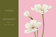 Floral Flow, Romantic Repeat Pattern, a Pattern Graphic by Marchel Studio (Thumbnail 2 of 4)