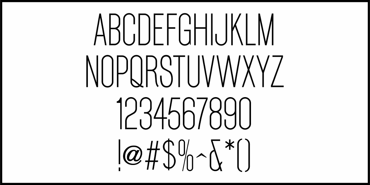 Thinly Sans JNL, a Sans Serif Font by Jeff Levine Fonts (Photo 3 of 5)