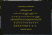 Cauloid | Monoline Script, a Script Font by gracetype_studio (Thumbnail 12 of 12)