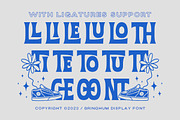 Bringhum Display, a Serif Font by Letterhend Studio (Thumbnail 8 of 9)