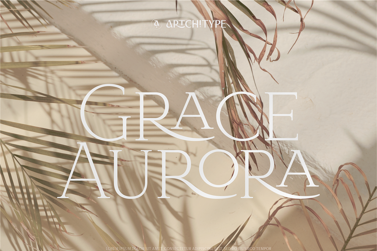 Bloomy Korea - Modern Serif Font, a Serif Font by Artchitype Studio (Photo 12 of 12)