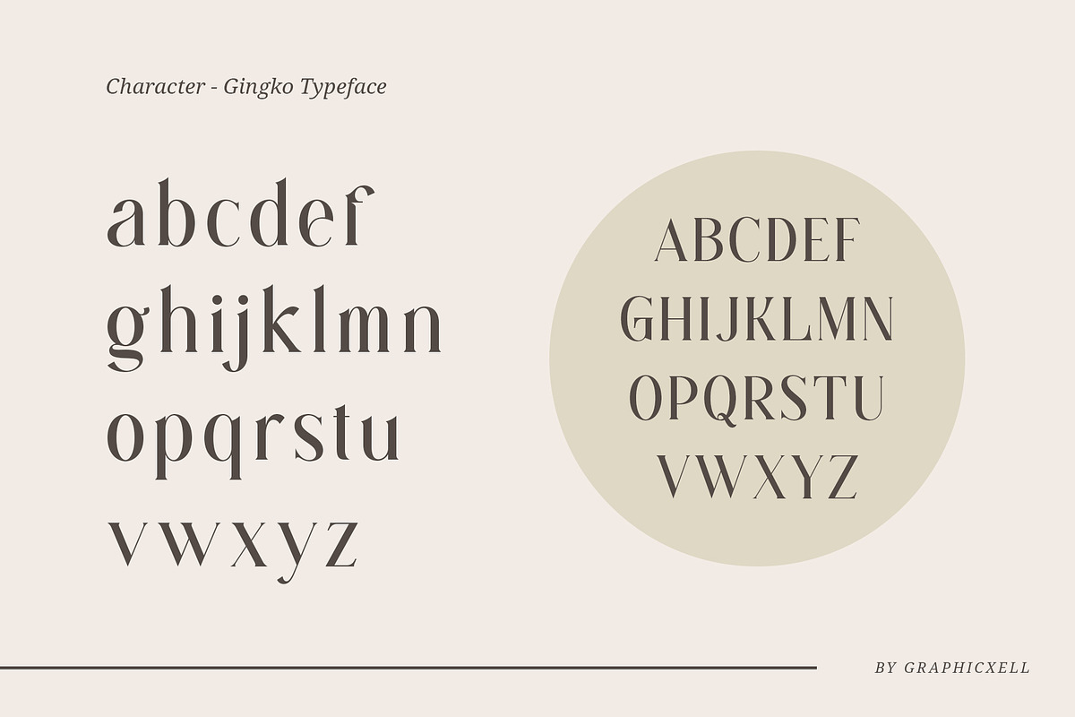 Gingko Ligature Typeface, a Serif Font by Graphicxell (Photo 10 of 11)