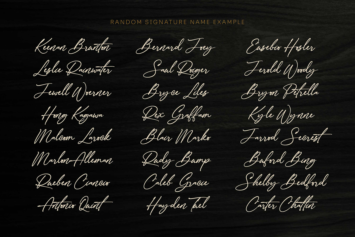 Sale!The Checkmate-Stylish Signature, a Script Font by Almarkhatype (Photo 5 of 10)