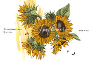 Hand drawn botanical bundle, an Illustration by handsketched (Thumbnail 23 of 24)